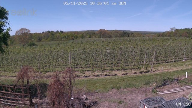 time-lapse frame, UM CSO webcam