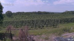 view from UM CSO on 2025-06-13