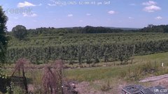 view from UM CSO on 2025-06-21