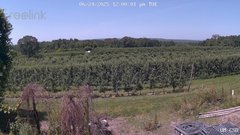 view from UM CSO on 2025-06-24