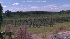 view from UM CSO on 2025-06-25