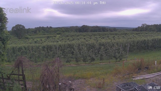 time-lapse frame, UM CSO webcam