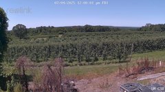 view from UM CSO on 2025-07-04