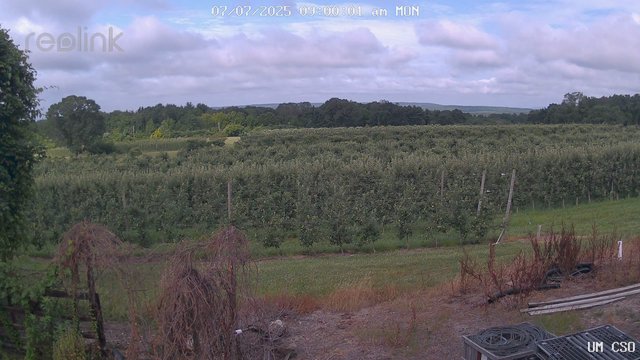 time-lapse frame, UM CSO webcam