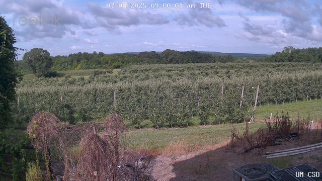 time-lapse frame, UM CSO webcam