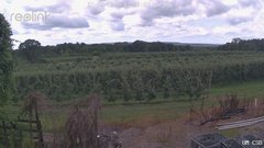 view from UM CSO on 2025-07-08