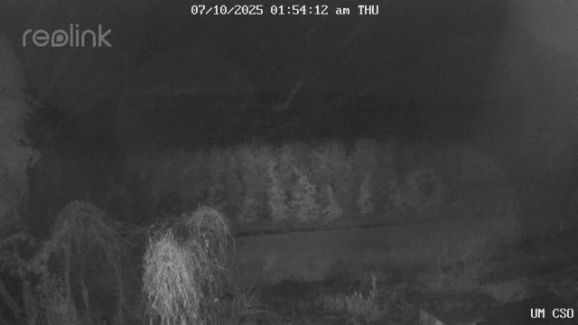 time-lapse frame, UM CSO webcam