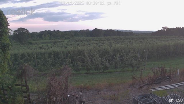 time-lapse frame, UM CSO webcam