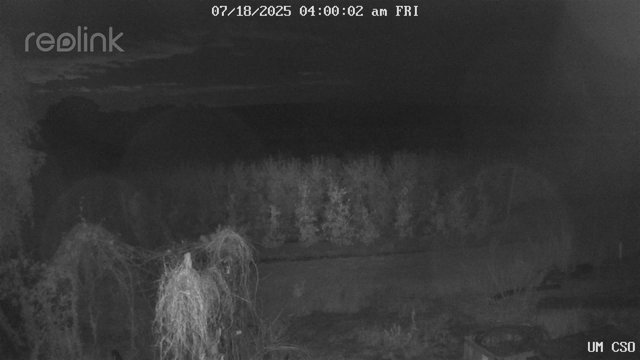 time-lapse frame, UM CSO webcam