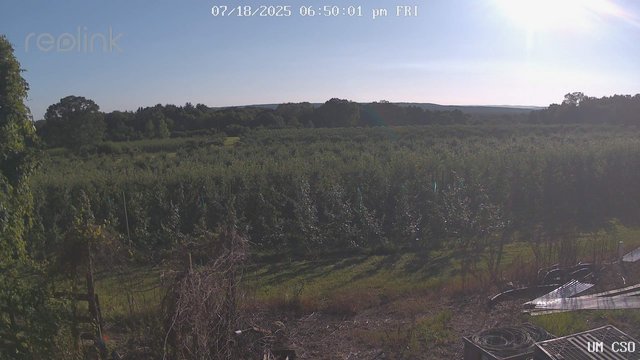 time-lapse frame, UM CSO webcam