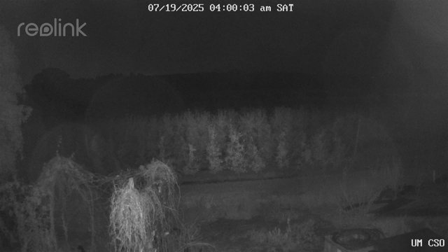 time-lapse frame, UM CSO webcam