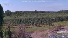 view from UM CSO on 2025-07-24