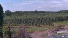 view from UM CSO on 2025-07-25
