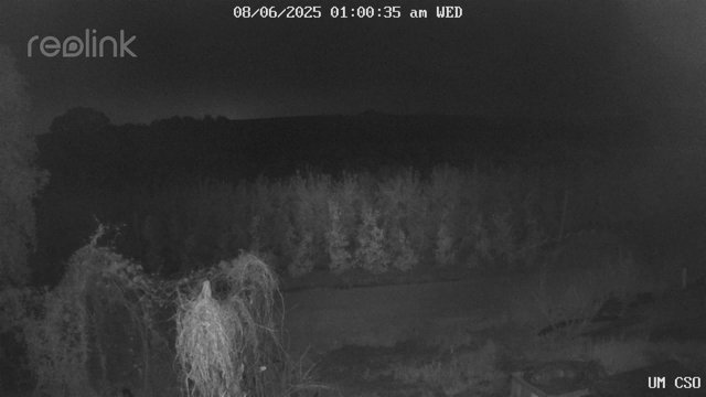 time-lapse frame, UM CSO webcam