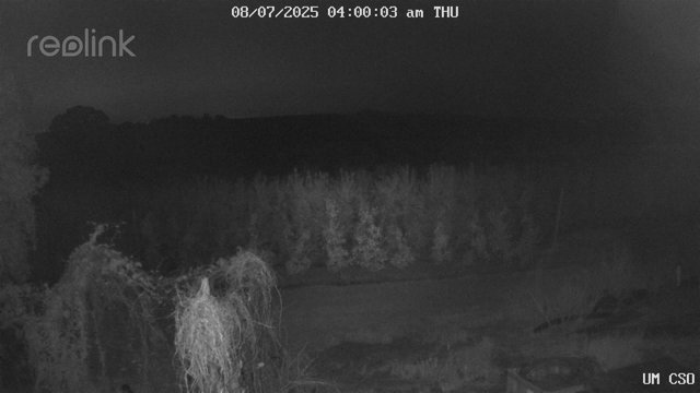 time-lapse frame, UM CSO webcam
