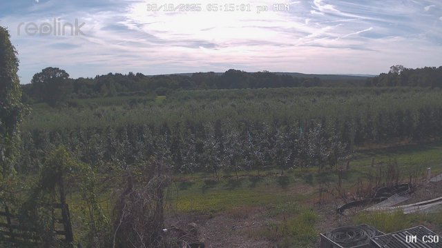 time-lapse frame, UM CSO webcam