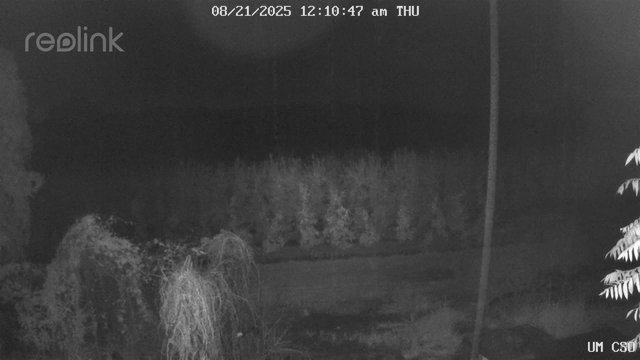 time-lapse frame, UM CSO webcam