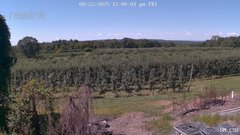 view from UM CSO on 2025-08-22