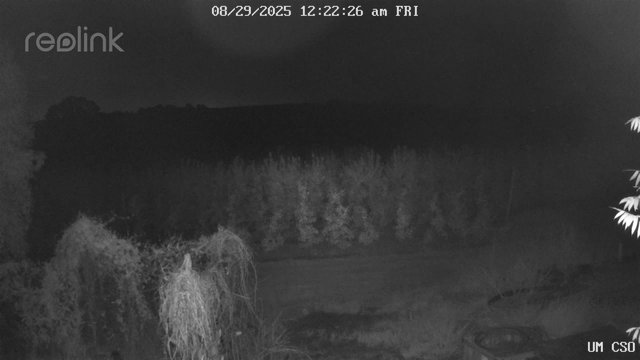 time-lapse frame, UM CSO webcam