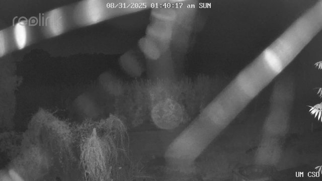 time-lapse frame, UM CSO webcam