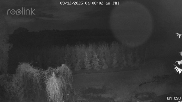 time-lapse frame, UM CSO webcam