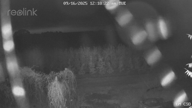 time-lapse frame, UM CSO webcam