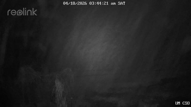 time-lapse frame, UM CSO webcam