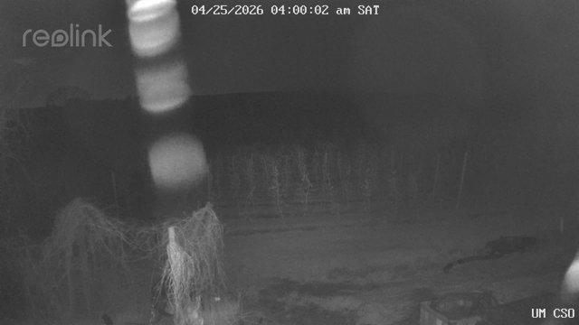 time-lapse frame, UM CSO webcam