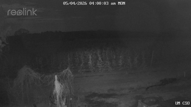 time-lapse frame, UM CSO webcam