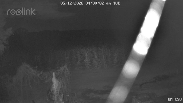 time-lapse frame, UM CSO webcam