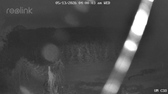 time-lapse frame, UM CSO webcam