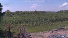 view from UM CSO on 2026-05-19
