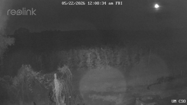 time-lapse frame, UM CSO webcam