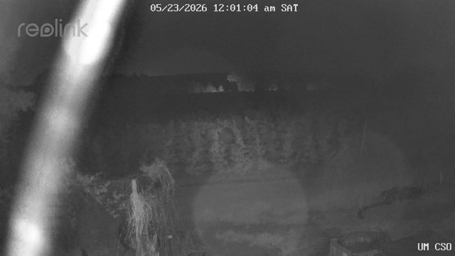 time-lapse frame, UM CSO webcam