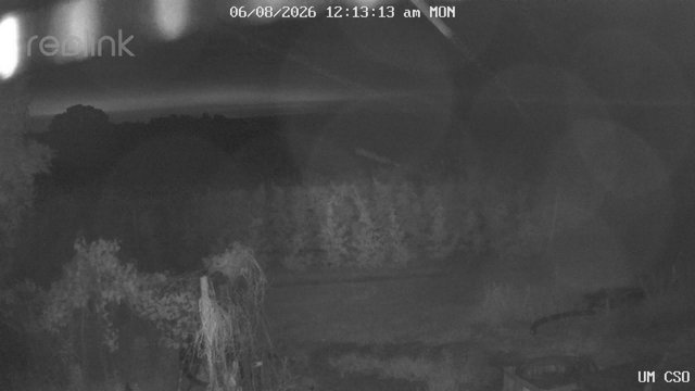 time-lapse frame, UM CSO webcam
