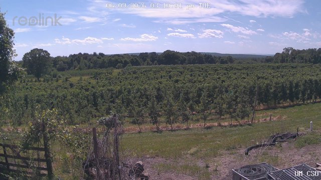 time-lapse frame, UM CSO webcam