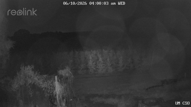 time-lapse frame, UM CSO webcam