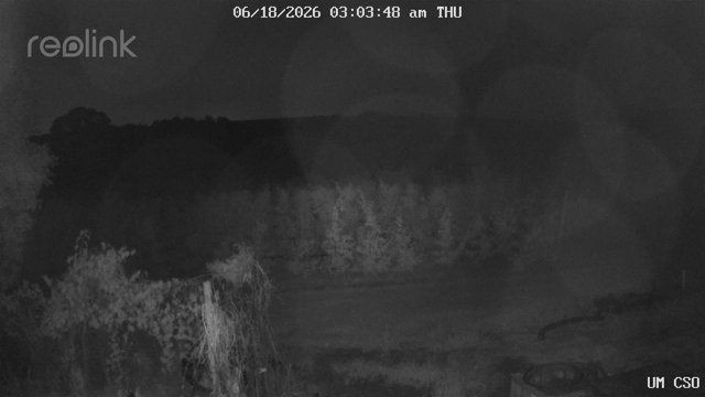 time-lapse frame, UM CSO webcam