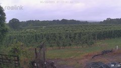 view from UM CSO on 2026-06-18