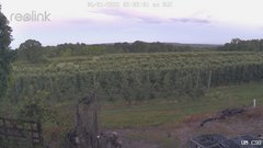 view from UM CSO on 2026-06-21