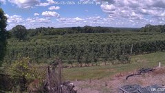 view from UM CSO on 2026-06-21