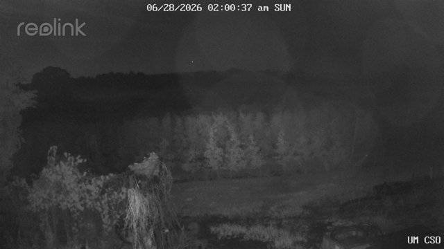 time-lapse frame, UM CSO webcam