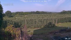 view from UM CSO on 2026-06-29