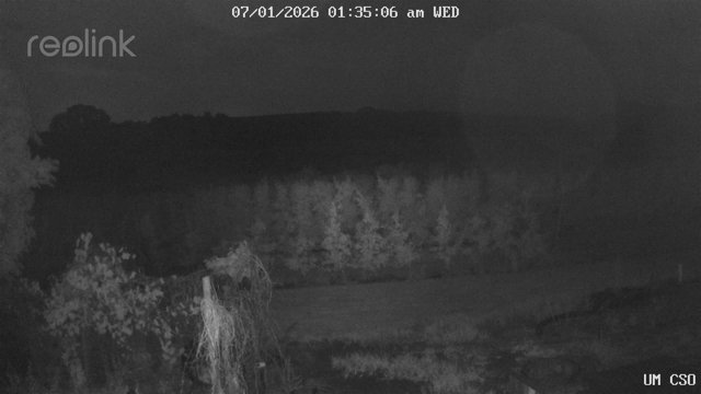 time-lapse frame, UM CSO webcam