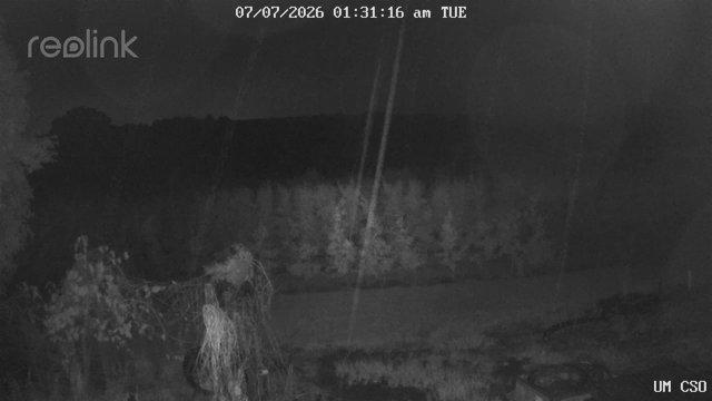 time-lapse frame, UM CSO webcam