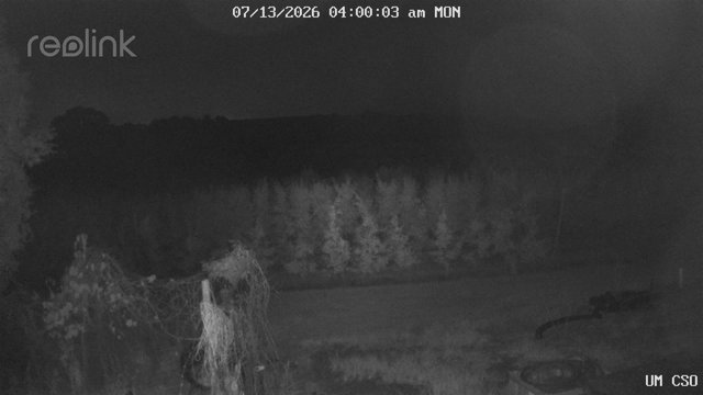 time-lapse frame, UM CSO webcam