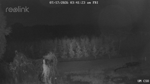 time-lapse frame, UM CSO webcam