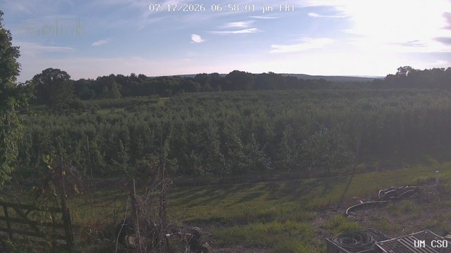 time-lapse frame, UM CSO webcam