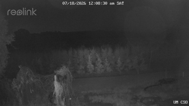 time-lapse frame, UM CSO webcam
