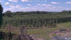 view from UM CSO on 2026-07-19